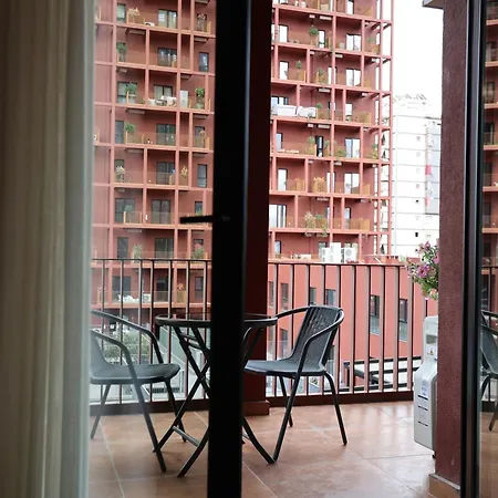Gardenia Tirana